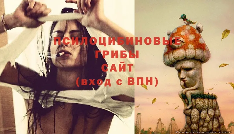 где купить наркотик  hydra как войти  Псилоцибиновые грибы Magic Shrooms  Ликино-Дулёво 